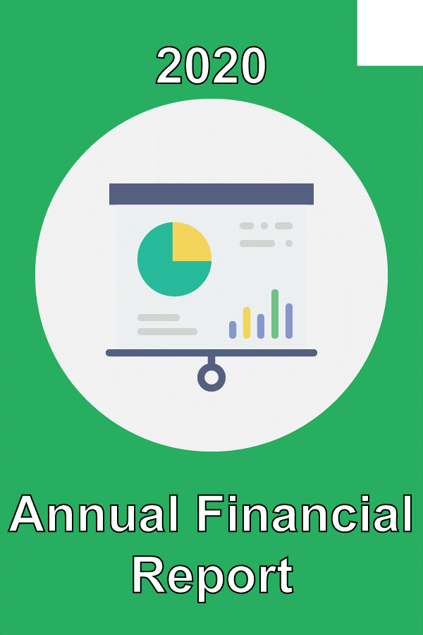 Cover for 2020 Financial Report