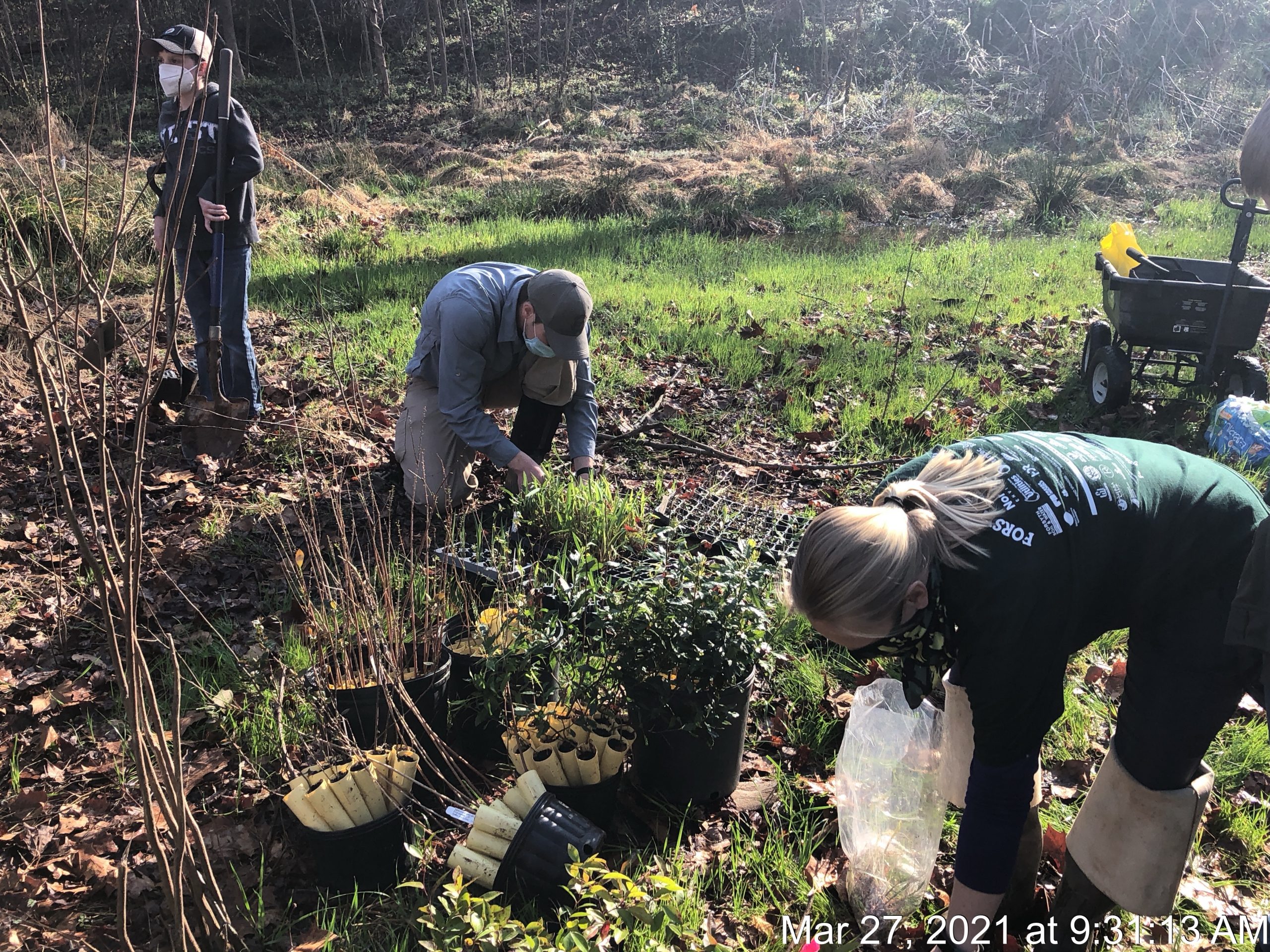 Decorative Header Image