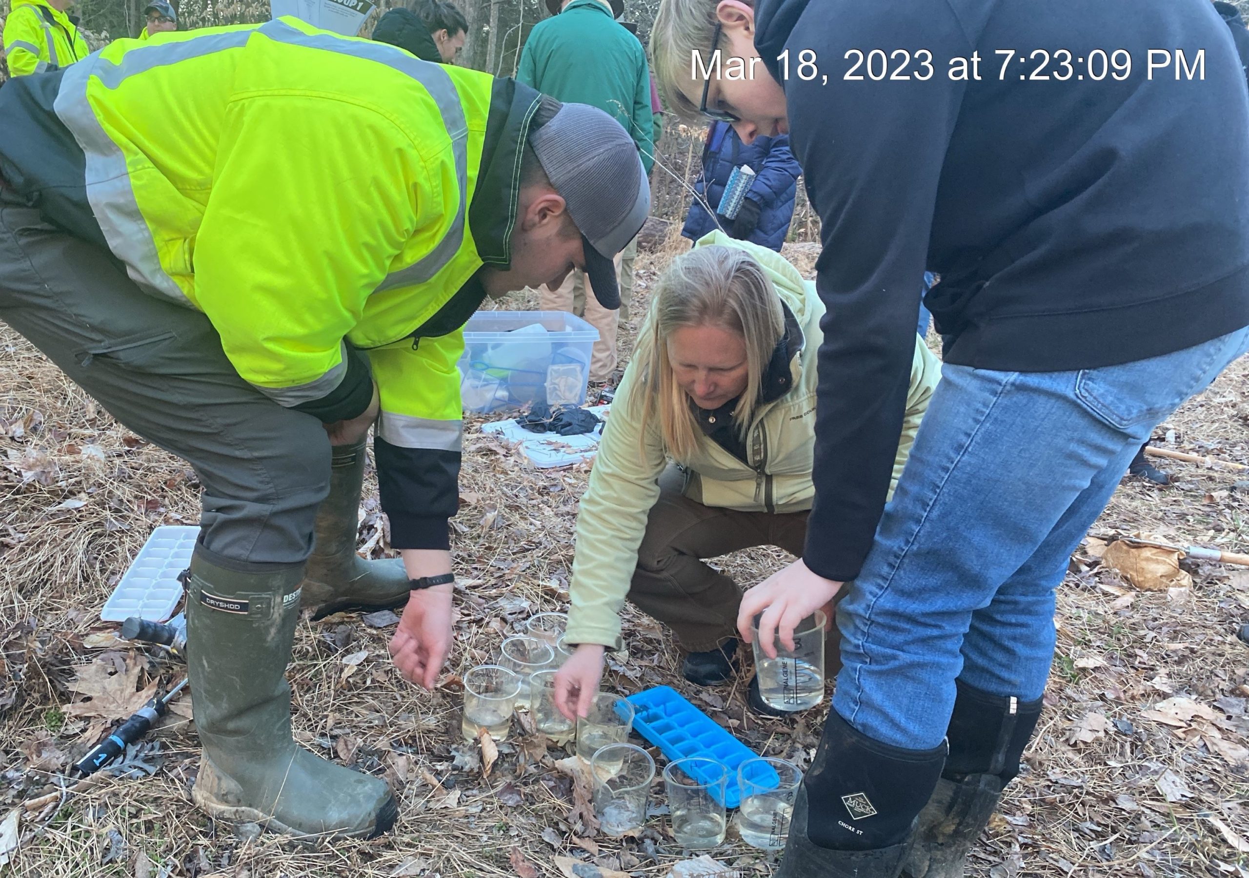 Decorative Header Image