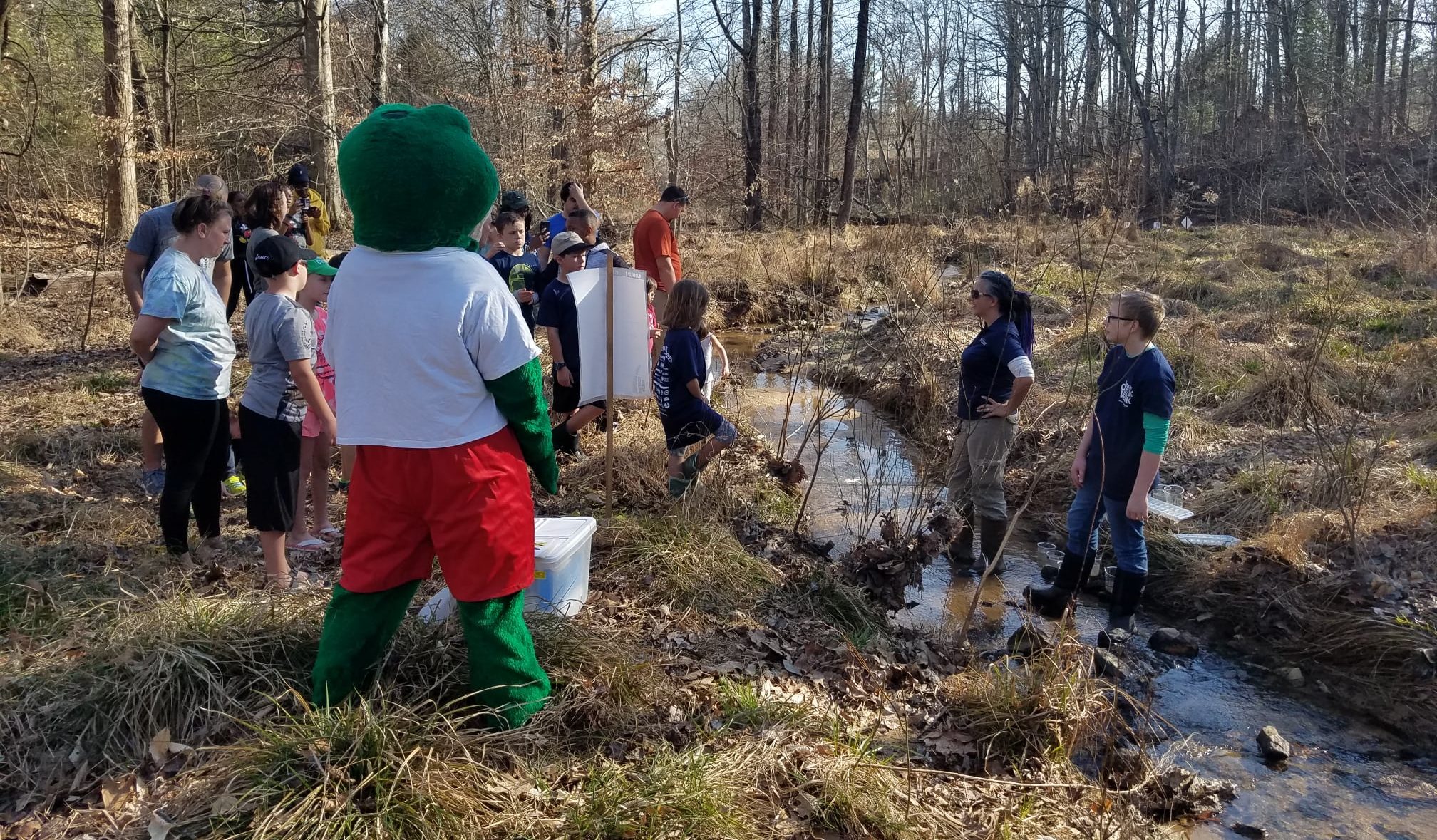 Creek Week-frog Walk For Kids – Town Of Kernersville