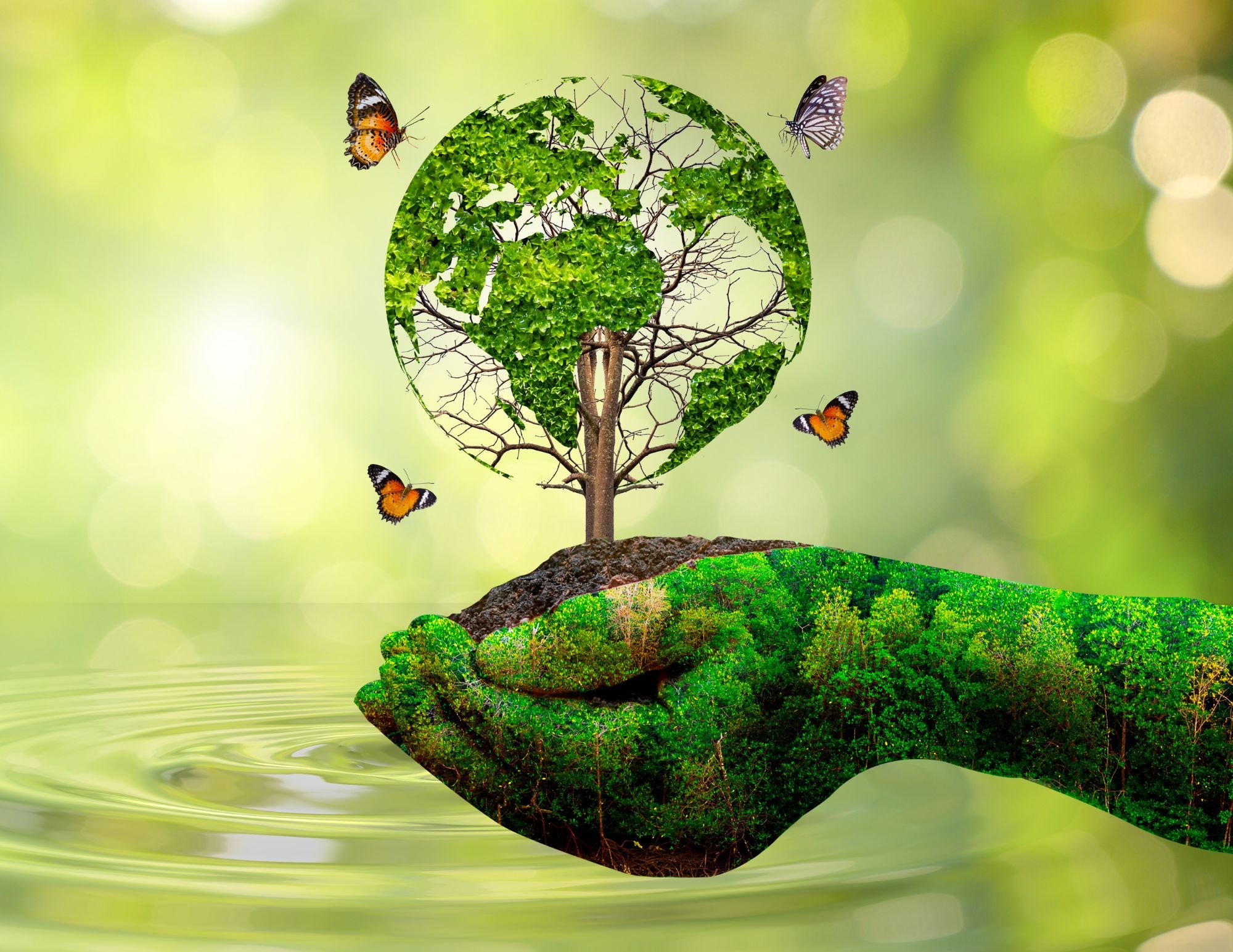 Decorative Header Image