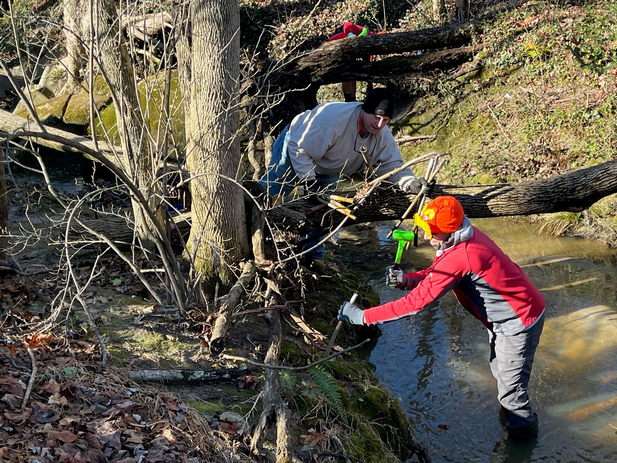 Decorative Header Image